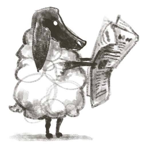 baaa